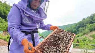 Düzceli kadın üreticiden 2 kovandan 100 kovana uzanan arı sütü başarısı