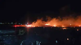 Burhaniye Şarköy’de zeytinlikleri tehdit eden örtü yangını