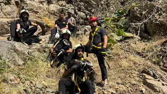 Kulp’ta kayalıkların tepesinde mahsur kalan üç oğlağa itfaiye yetişti