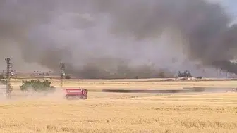 Harran Ovası'nda hasat mevsimi yangınla küle döndü