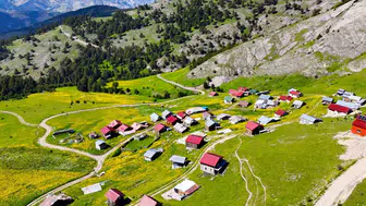 Gümüşhane’nin zirvesinde sarı çiçekli doğa şöleni