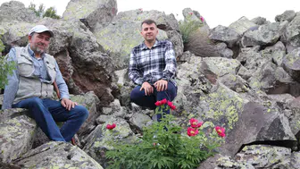 Erciyes’in nadir çiçeği şakayığı koparmanın bedeli 700 bin liraya yakın