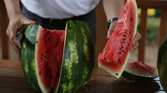İyi karpuz seçmenin yeni püf noktaları
