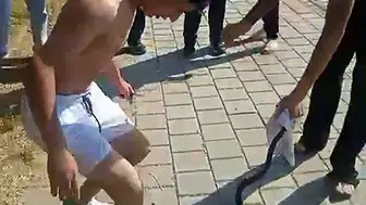 Adana'da nehir kenarında yılan vahşeti