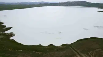 Van'ın gizli kuş cenneti eski ihtişamına kavuştu