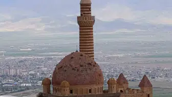 İshakpaşa Sarayı’nın kubbesi yabani otlarla kaplandı