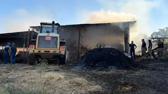 Karacabey'de çiftlik yangını büyük zarara yol açtı