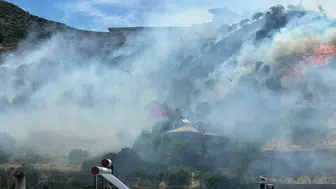 Ayvacık ormanlarında alevler hızla yayılıyor