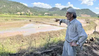 Karabük'te orman tahribatı çeltik tarlalarını sular altında bıraktı