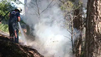 Sakarya Maltepe'de ağaçlık alanda yangın paniği