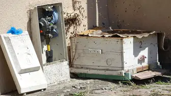 Karabük'te doğal gaz kutusunu arılar istila edince mahalleli ayağa kalktı