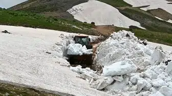 Bitlis yaylalarında yaz ortası kar mesaisi