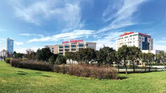 YKS Tercihinde Sadece Puanlara Bakmak Büyük Hata