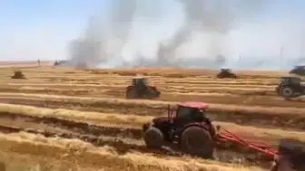 Viranşehir'de anız ateşi çiftçinin birikimini yuttu