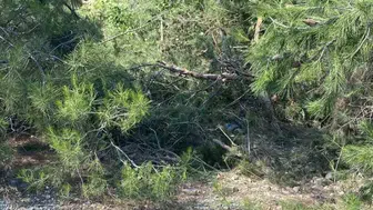 Denizli’de traktör kazası can aldı