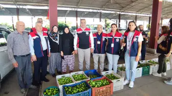 Aydın incirinde kaliteyi korumak için denetimler başladı