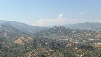 Nazilli'deki tarım arazisinde büyük yangın korkuttu