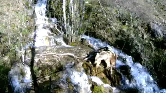Munzur Vadisi yaban hayatı fotokapanlara böyle yansıdı