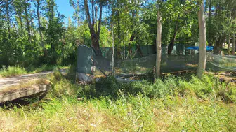 Akyurt'ta piknik faciası Eşini bıçaklayıp kaçtı