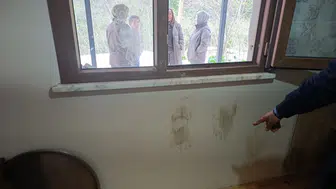 Giresun'da yerleşim yerlerine giren ayılar için vurma kararı çıktı