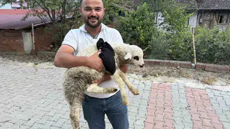 Hastaneden ahıra uzanan şefkat eli