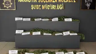 Hevsel Bahçeleri'nde binlerce kök kenevir yakalandı