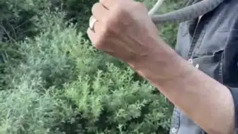 Bingöllü gençten tehlikeli yılan şovu