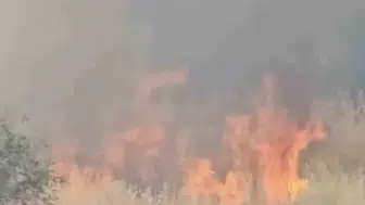 Diyarbakır'da evlere yaklaşan anız yangını korkuttu