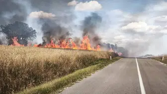 Edirne'de basit bir kesim işlemi koca bir tarlayı küle çevirdi