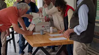 Düzce fındığını korumak için 72 bin binayı ilaçladı