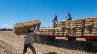Kırklareli tarlalarında saman balyası mesaisi başladı