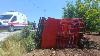 Malatya'da tavuk kamyonu şarampole uçtu