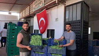 İznik’in meşhur fasulyesi Nazende tezgahlara indi