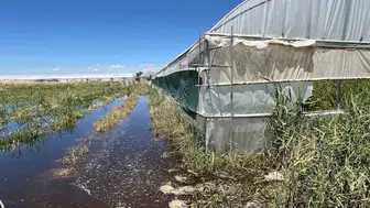 Batmanlı çiftçinin umudu baraj suları altında kaldı