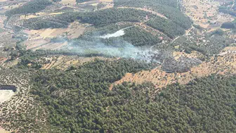 Milas Bağdamlar’da alevlere hızlı müdahale