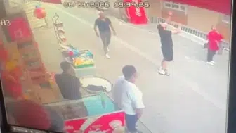 Küçükçekmece'de mucize kurtuluş Yavru kedi 8'inci kattan şemsiyeye düştü