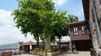 İzmit'in 6 asırlık dev çınarı yıldırımlara meydan okuyor