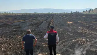 Söke'de yanan tarlalar için hasar tespiti başladı