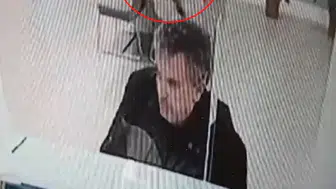 Banka şubesinde işlem yaparken tavandan kedi indi