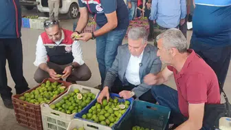 İncir sezonu öncesi Buharkent’te sıkı denetim