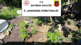 Batman jandarmasından kaçakçılara yönelik geniş çaplı operasyon