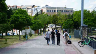 Kocaeli Üniversitesi kampüsünde köpek korkusu devam ediyor