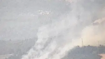 Çanakkale’de bir karga orman yangını başlattı