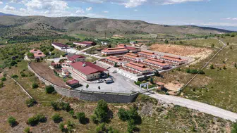 Elazığ’da sokak hayvanları için dokuz yıllık tedavi seferberliği