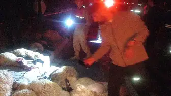 Van'da gece yarısı kaza Sürüye çarpan otomobilde hasar oluştu