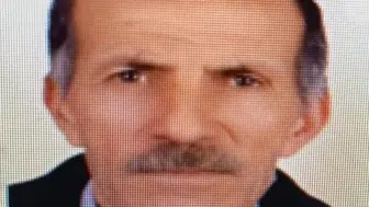 Kulp kırsalında hayvanlarını otlatmaya çıkan yaşlı adam hayatını kaybetti