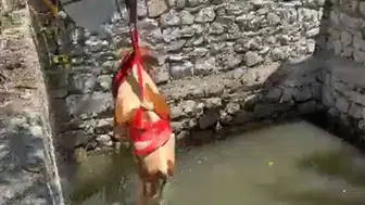 Malatya’da gebe inek sulama havuzunda mahsur kaldı