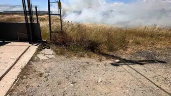 Kapaklı’da bir kuşun hatası otluk alanı küle çevirdi