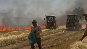 Mardinli çiftçiler tarlayı saran alevleri el birliğiyle söndürdü