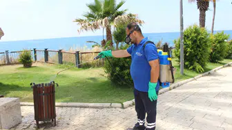 Antalya’da sivrisinek ve haşere mesaisi 19 ilçede sürüyor